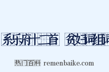 系乐府十二首·贫妇词组词是什么意思的图片